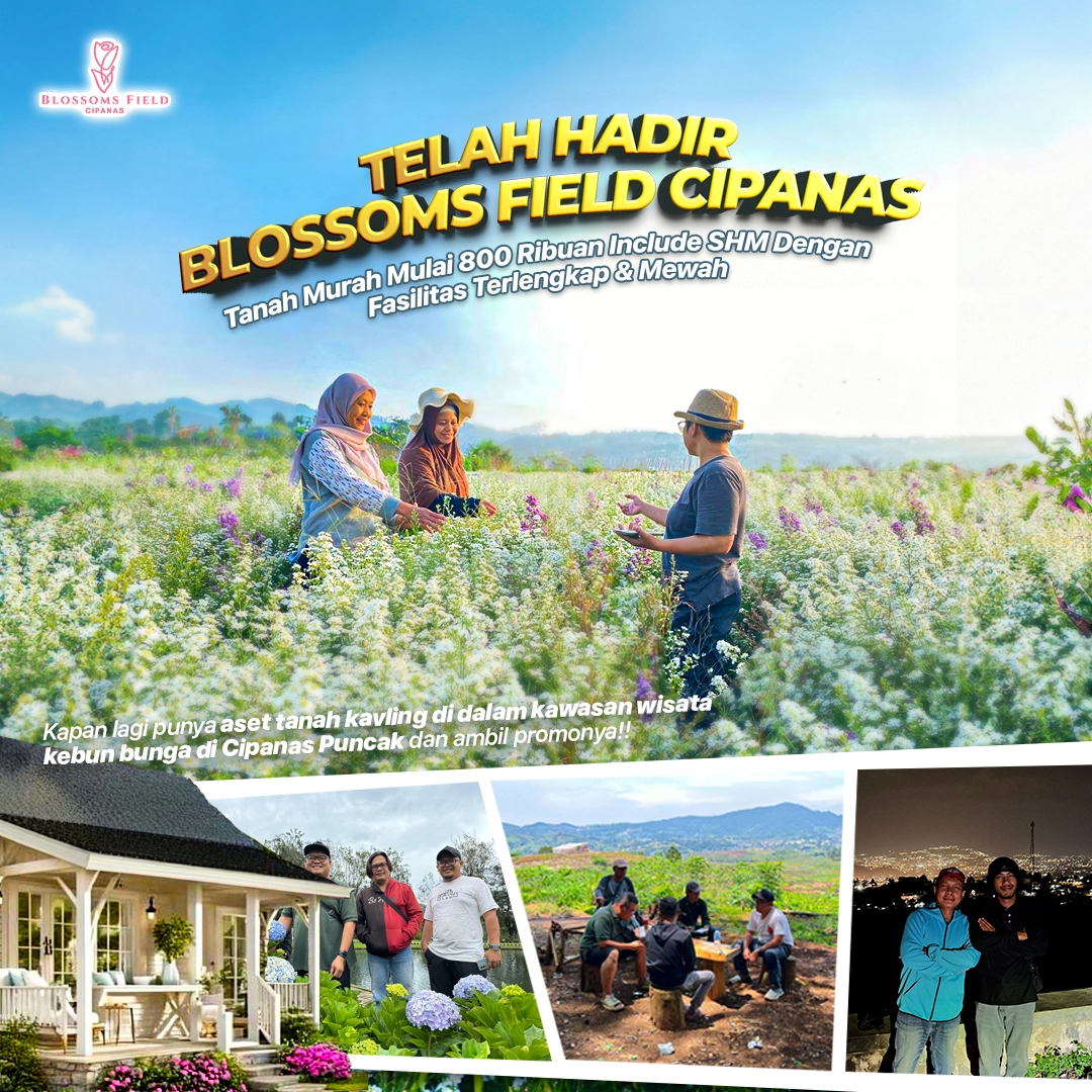 Blossoms field cipanas