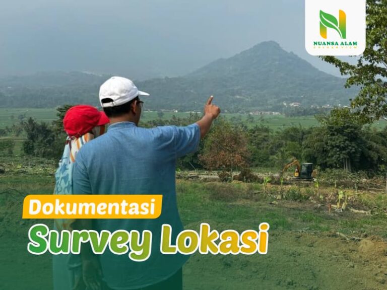 the hanjawong villas